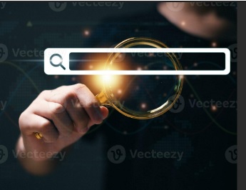Site-Wide Search